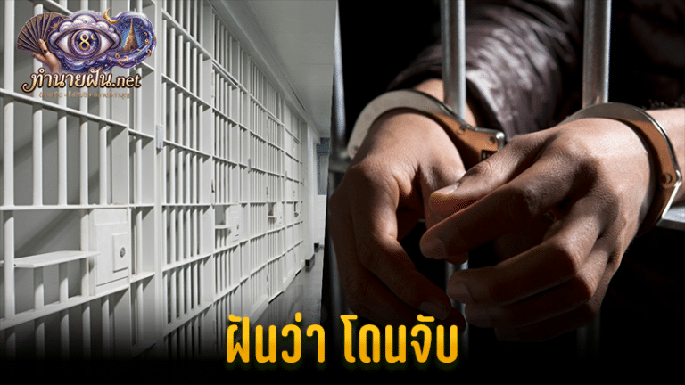 ฝันว่าโดนจับ ความหมายตามความเชื่อไทย พร้อมเลขมงคลและคำแนะนำ