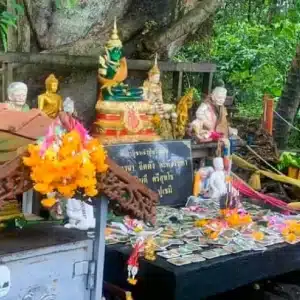 พรที่ทุกคนต้องขอเมื่อไป คำชะโนด