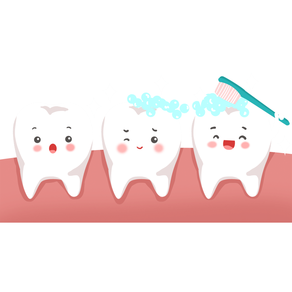 ฟันหลุด 2 ซี่