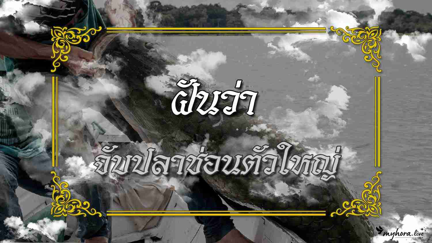 ฝันว่า จับปลาช่อนตัวใหญ่ ความหมายตามความเชื่อไทย พร้อมเลขมงคลและคำแนะนำ