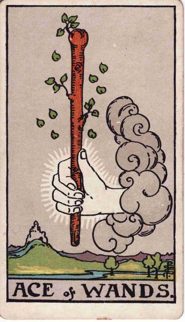 ไพ่ยิปซีชุดไม้ หมายเลข 1 ‘ACE OF WANDS’ 1 ไม้