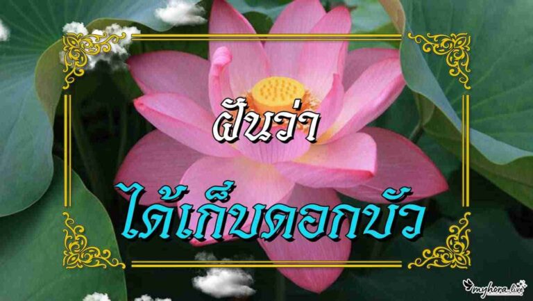 lotus