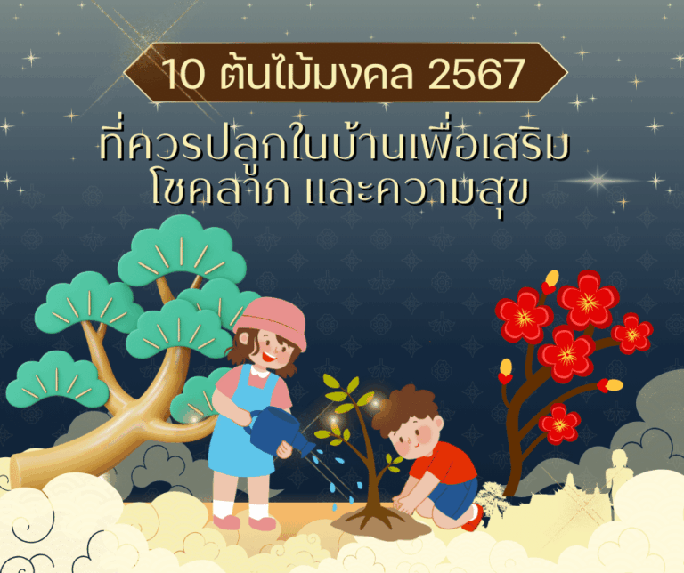 tree myhora