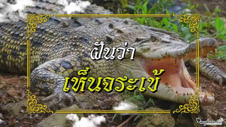 crocodile