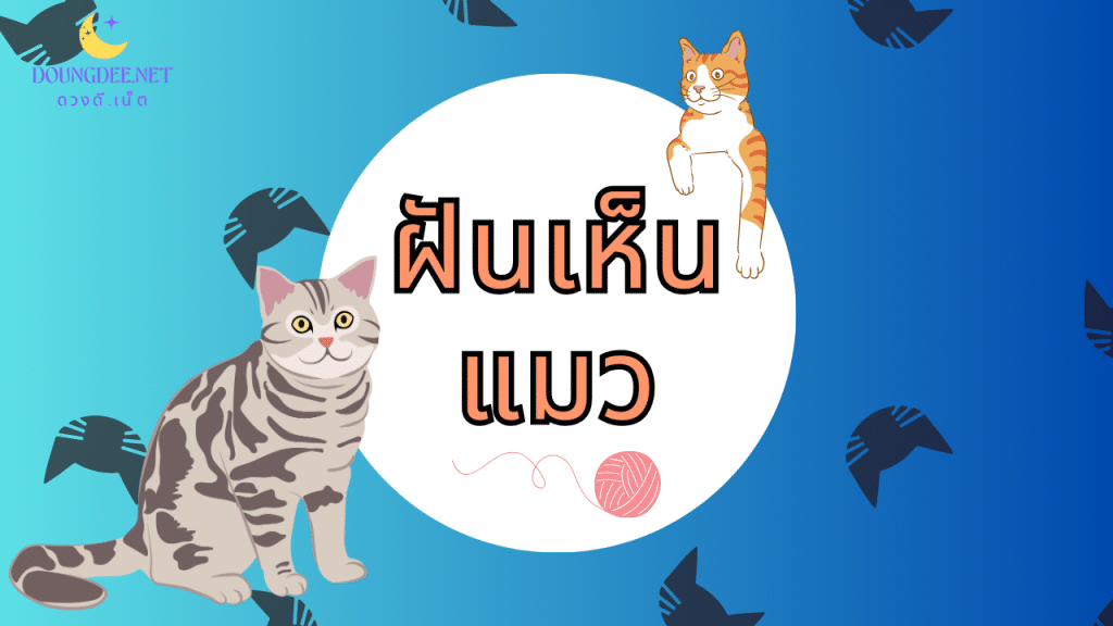 ฝันเห็นแมว