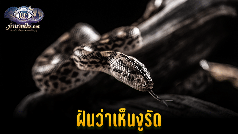 ฝันว่าเห็นงูรัด