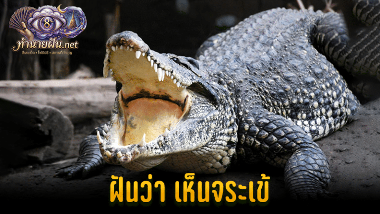 ทำนายฝัน ฝันว่าเห็นจระเข้ หน้าปก