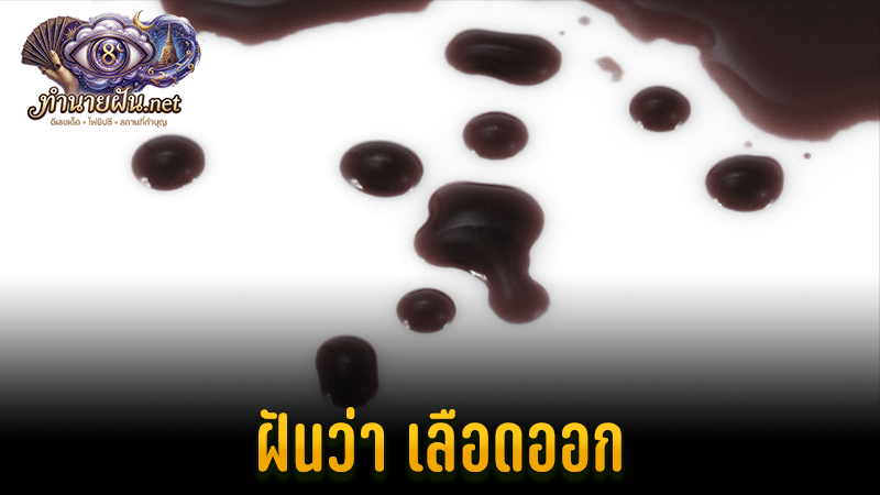ฝันว่า เลือดออก หน้าปก