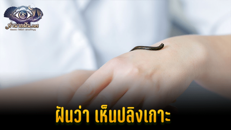 ฝันว่า เห็นปลิงเกาะ