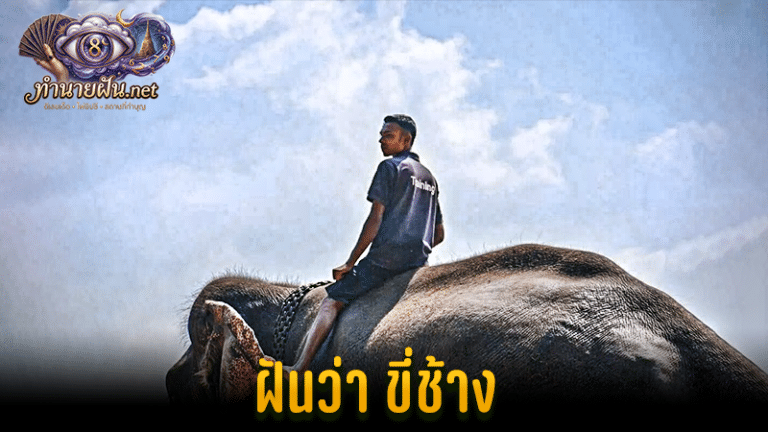 ทำนายฝัน ฝันว่าขี่ช้าง