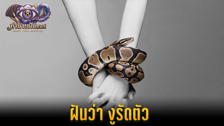 ฝันว่างูรัดตัว หน้าปก