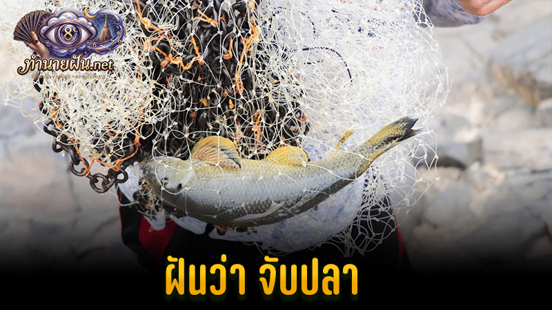 ฝันว่าจับปลา
