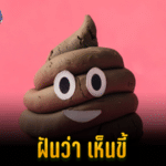 ฝันว่าเห็นขี้
