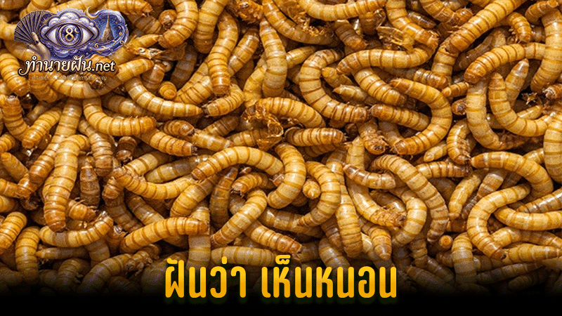 ทำนายฝัน ฝันว่าเห็นหนอน