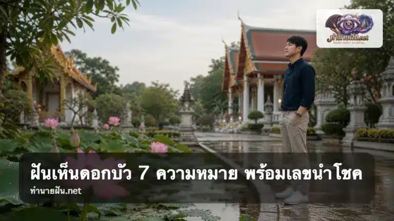 ฝันเห็นดอกบัว ภาพปก
