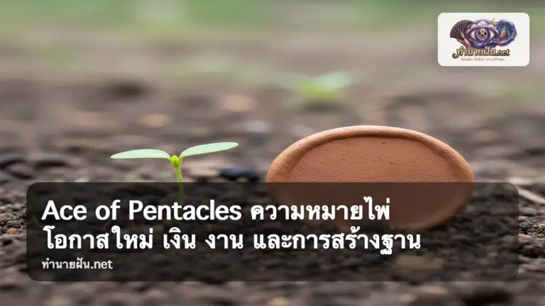 Ace of Pentacles ภาพปก