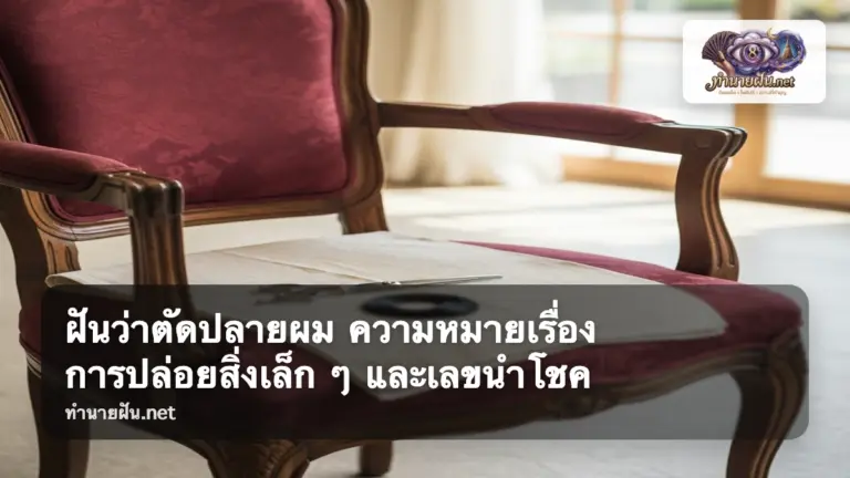 ฝันว่าตัดปลายผม ภาพปก
