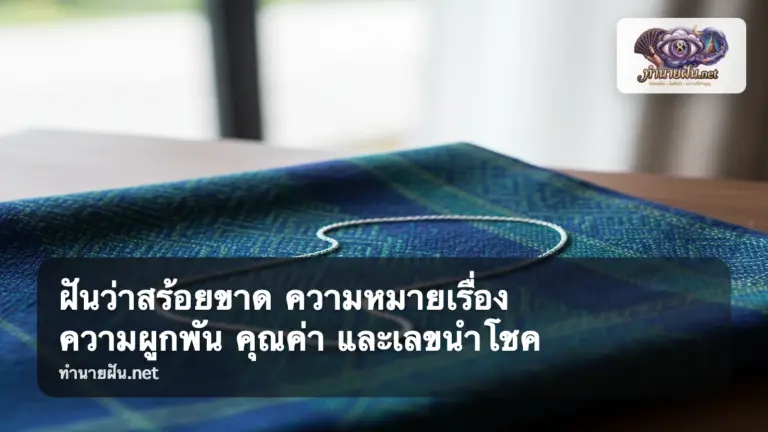 ฝันว่าสร้อยขาด ภาพปก