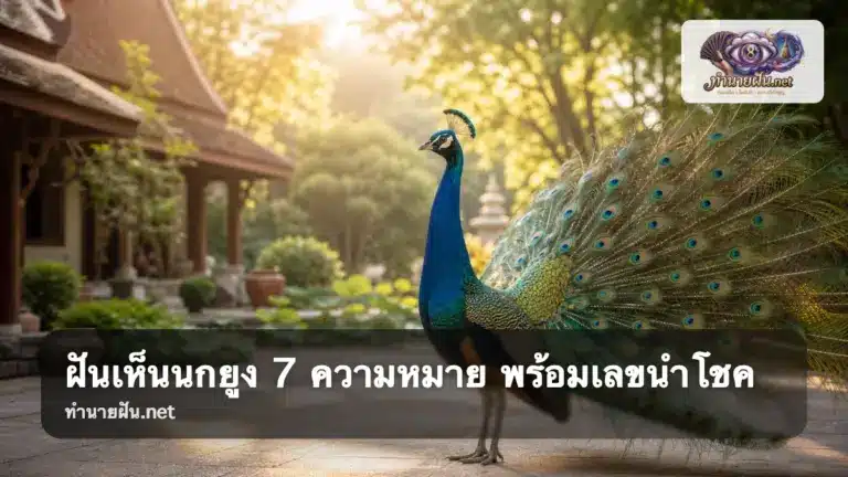 ฝันเห็นนกยูง ภาพปกสื่อถึงเสน่ห์ ภาพลักษณ์ และการได้รับความสนใจ