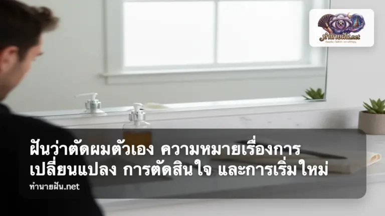 ฝันว่าตัดผมตัวเอง ภาพปก