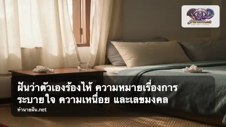 ฝันว่าตัวเองร้องไห้ ภาพปก