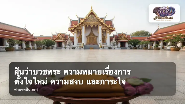 ฝันว่าบวชพระ ภาพปก