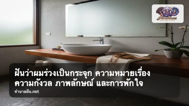 ฝันว่าผมร่วงเป็นกระจุก ภาพปก