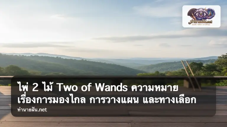 ไพ่ 2 ไม้ Two of Wands ภาพปก