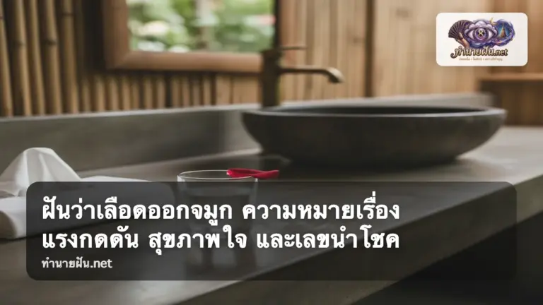 ฝันว่าเลือดออกจมูก ภาพปก