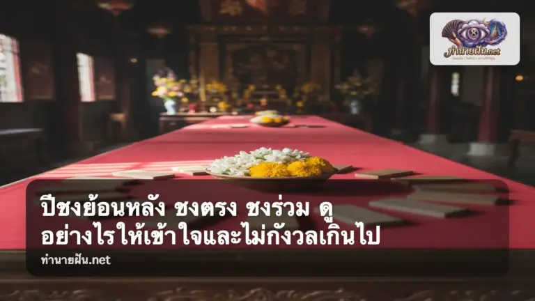 ปีชงย้อนหลัง ภาพปก