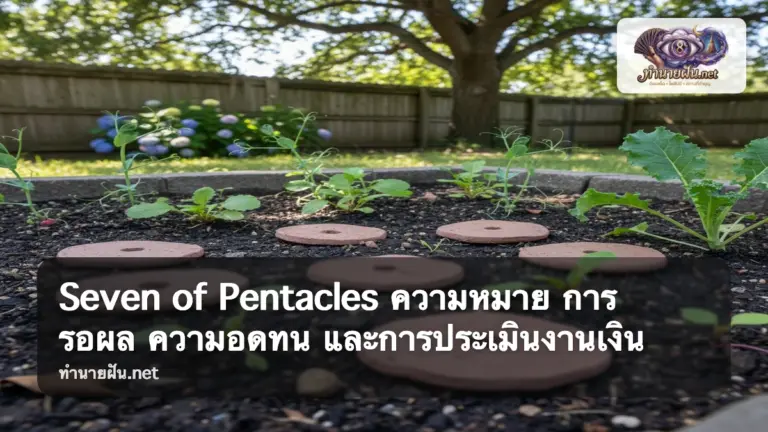 Seven of Pentacles ภาพปก