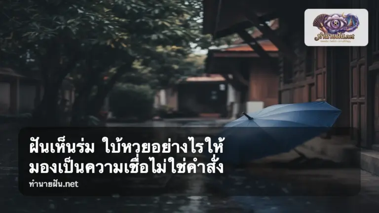 ฝันเห็นร่ม ภาพปก