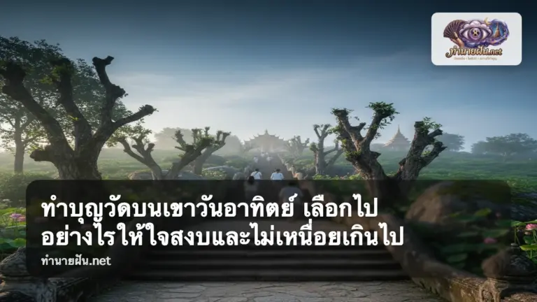 ทำบุญวัดบนเขาวันอาทิตย์ ภาพปก
