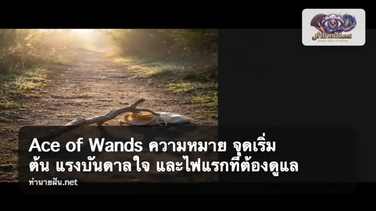 Ace of Wands ภาพปก