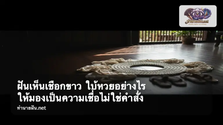 ฝันเห็นเชือกขาว ภาพปก