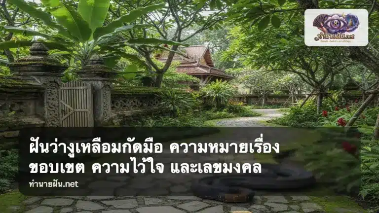ฝันว่างูเหลือมกัดมือ ภาพปก