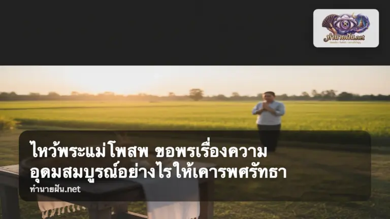 พระแม่โพสพ ภาพปก