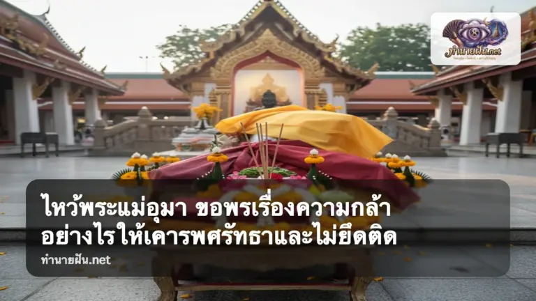 ไหว้พระแม่อุมา ภาพปก