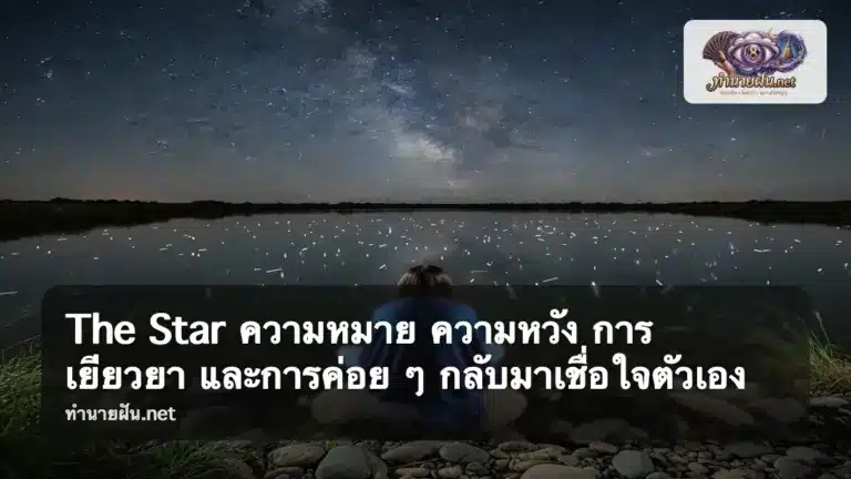 The Star ภาพปก