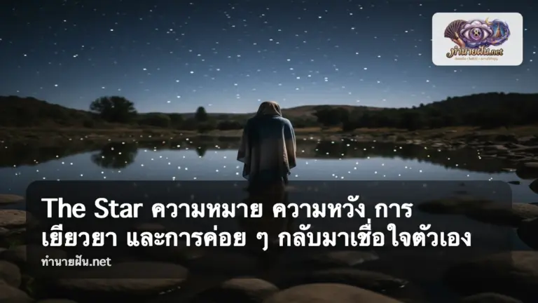 The Star ภาพปก
